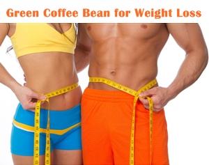 Green Coffee Bean Slim Suppliers